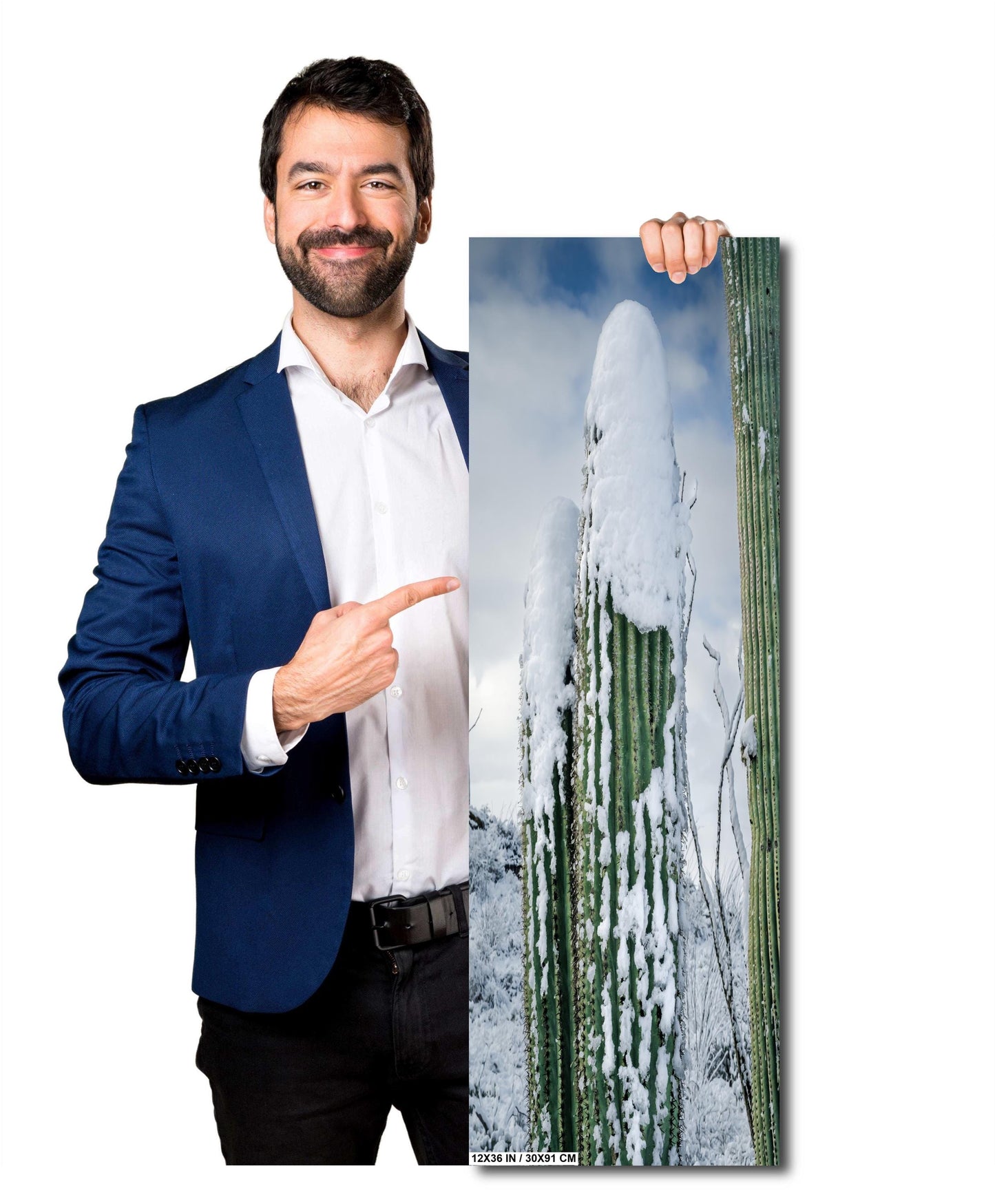 Saguaro Cactus in Snow Print: Tucson Arizona Winter Scene
