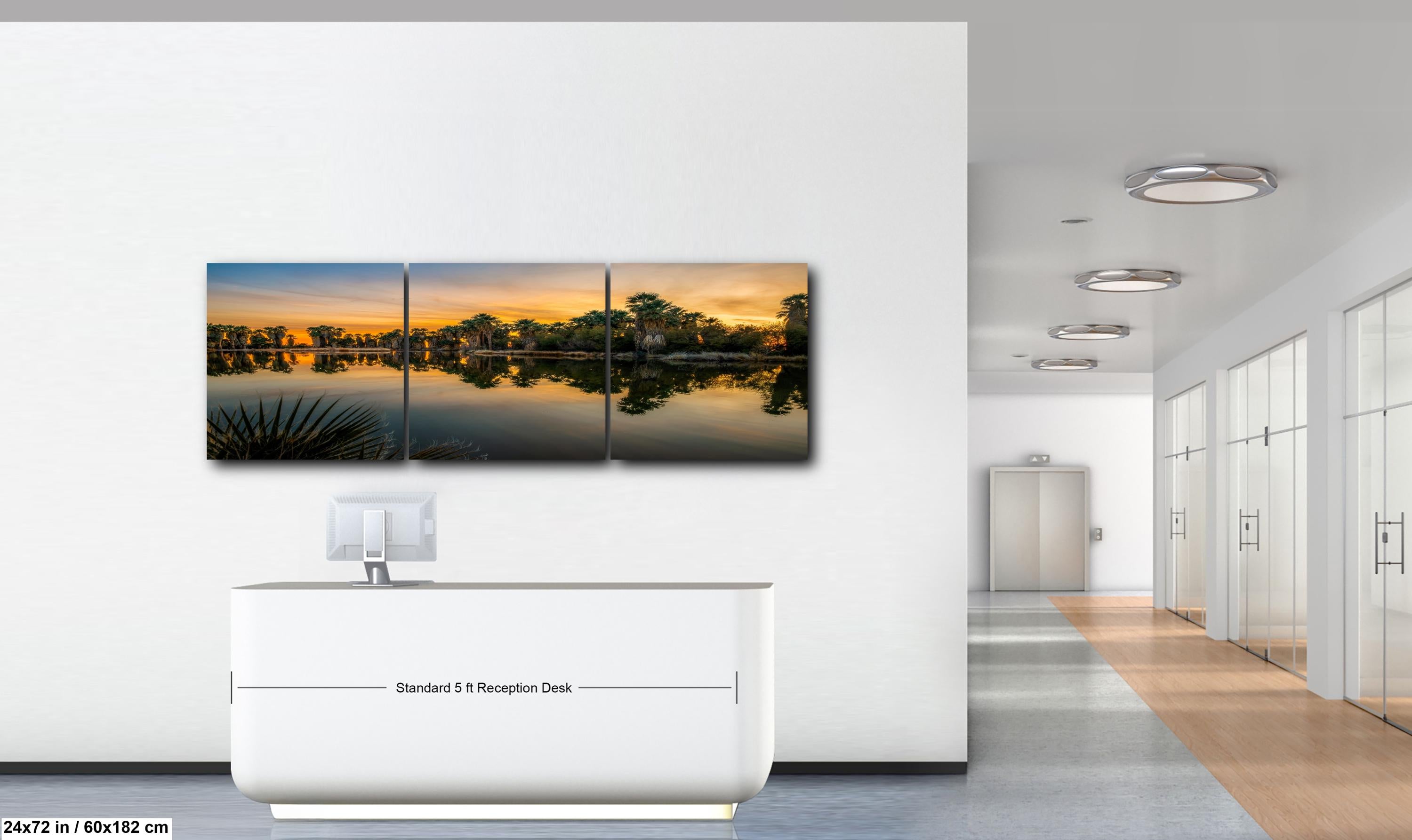 Agua Caliente Park Sunset Palm Oasis Reflection - Tucson Arizona Photography Print