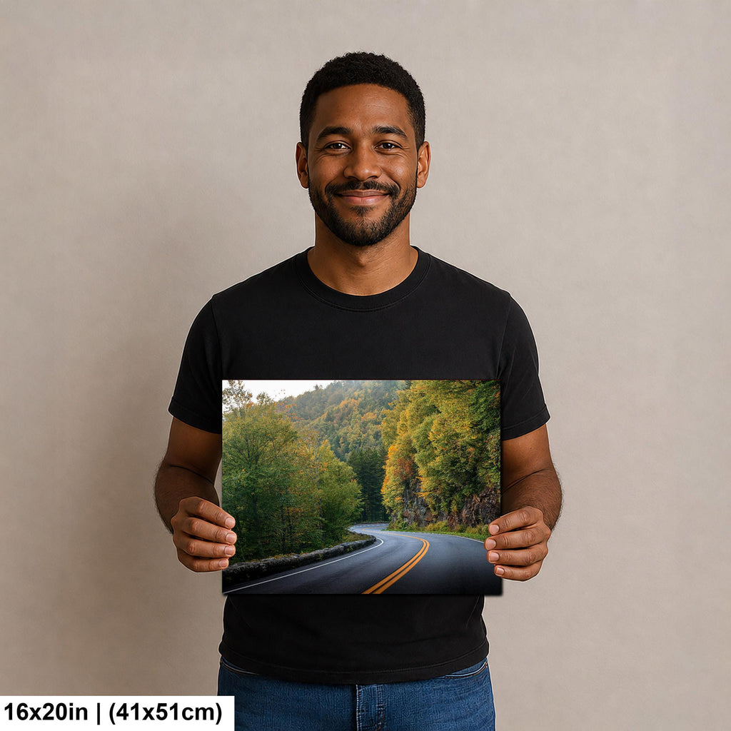 Winding Solace: Curved Road Great Smoky Mountains National Park Wall Art