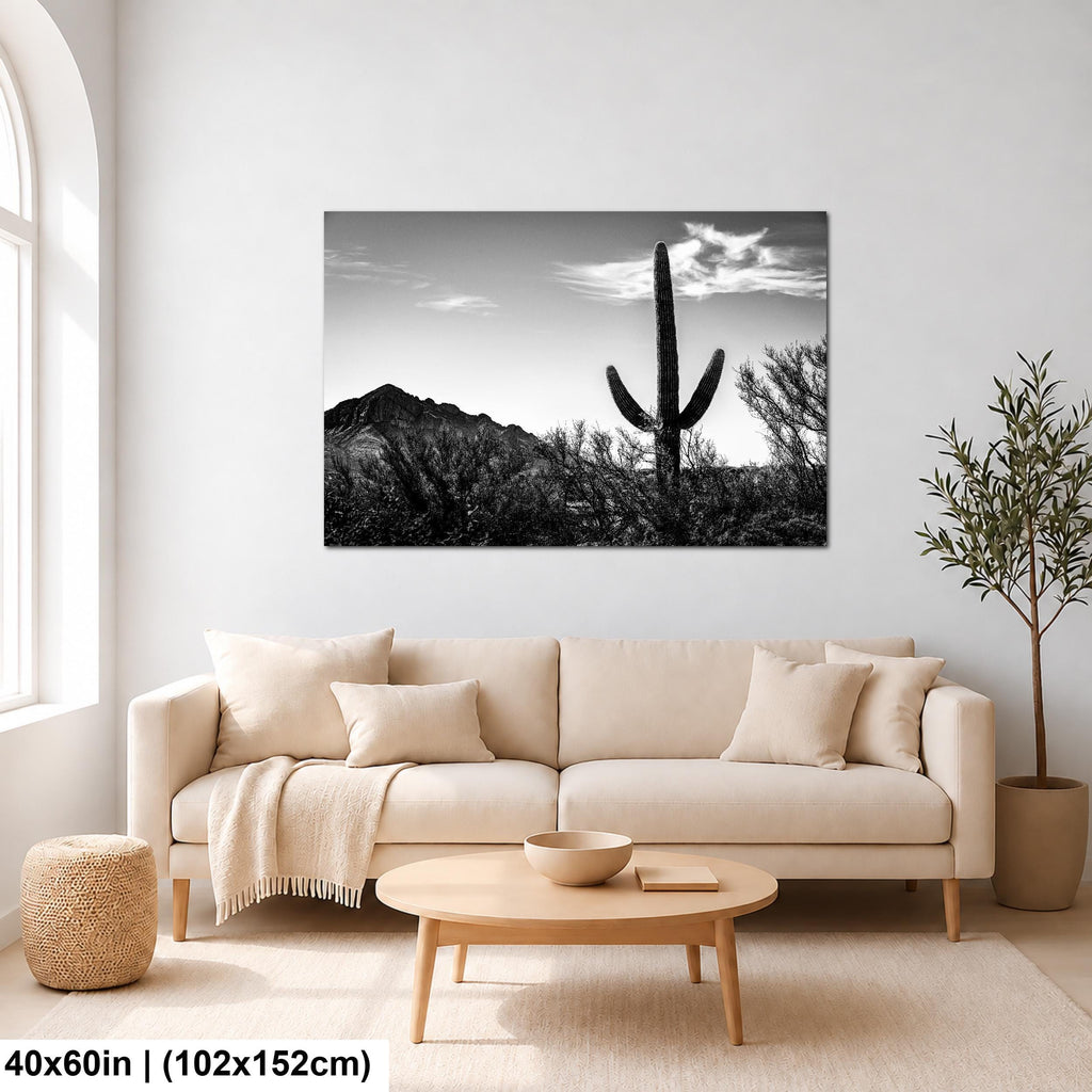 Desert Sentinel: Saguaro Cactus Oro Valley AZ Black White Photo Wall Art