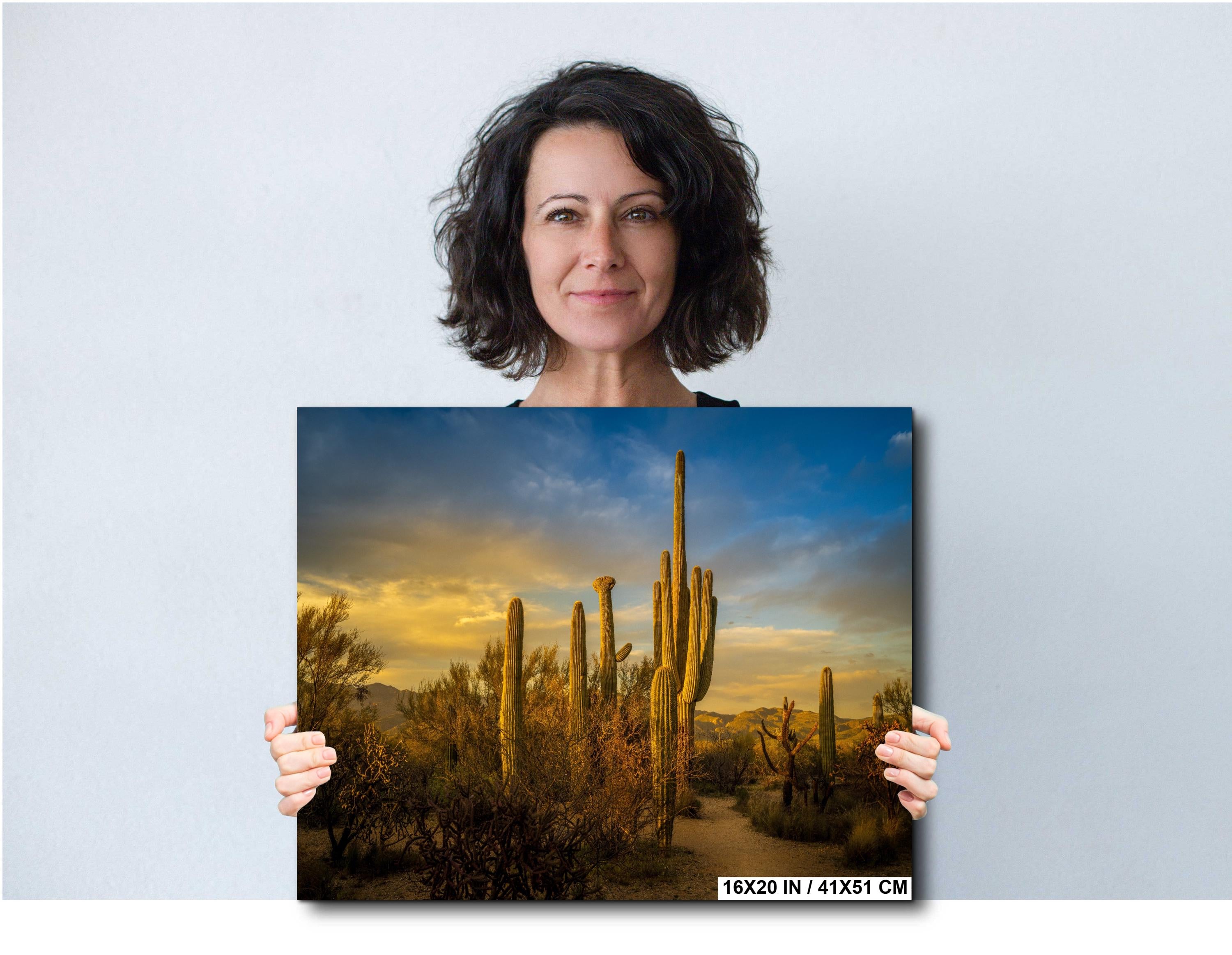 Woman holding a photograph of a desert landscape with cacti.