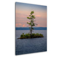 A lone pine tree on a small island at dusk in Voyageurs National Park, Minnesota.