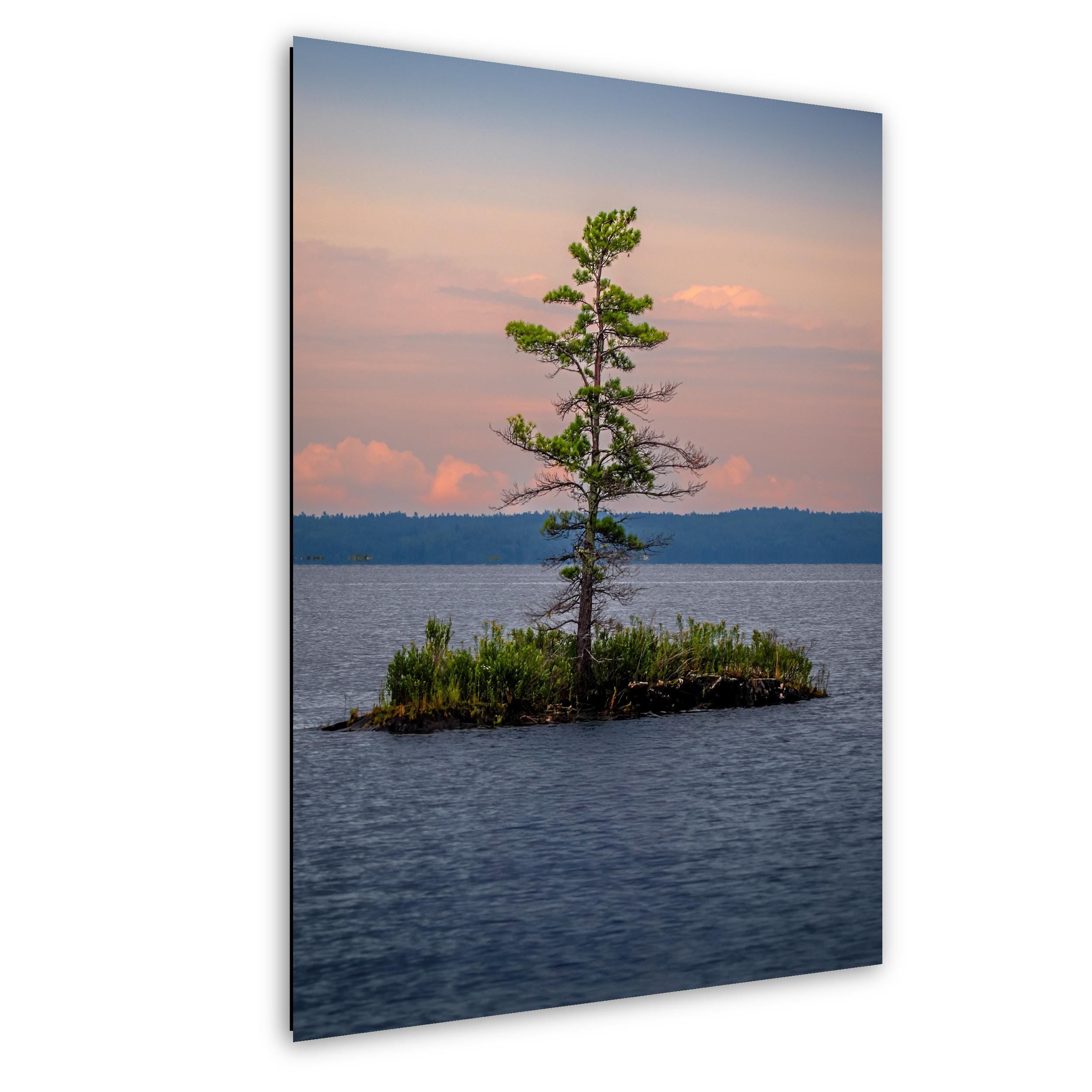 A lone pine tree on a small island at dusk in Voyageurs National Park, Minnesota.