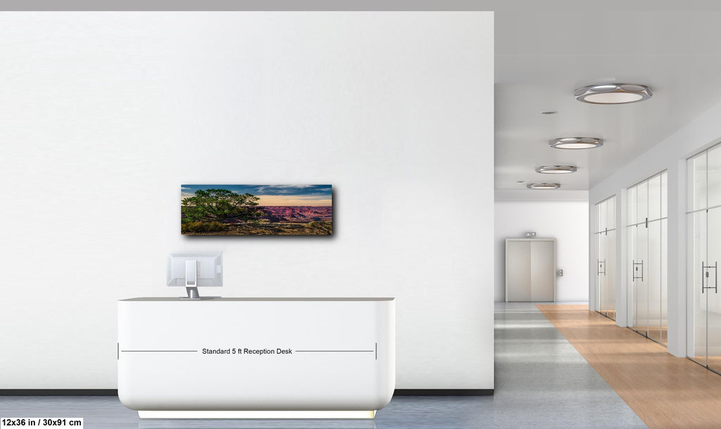 Juniper Tree Overlooking Grand Canyon, South Rim Arizona Wall Art, Canyon Landscape Photography Print