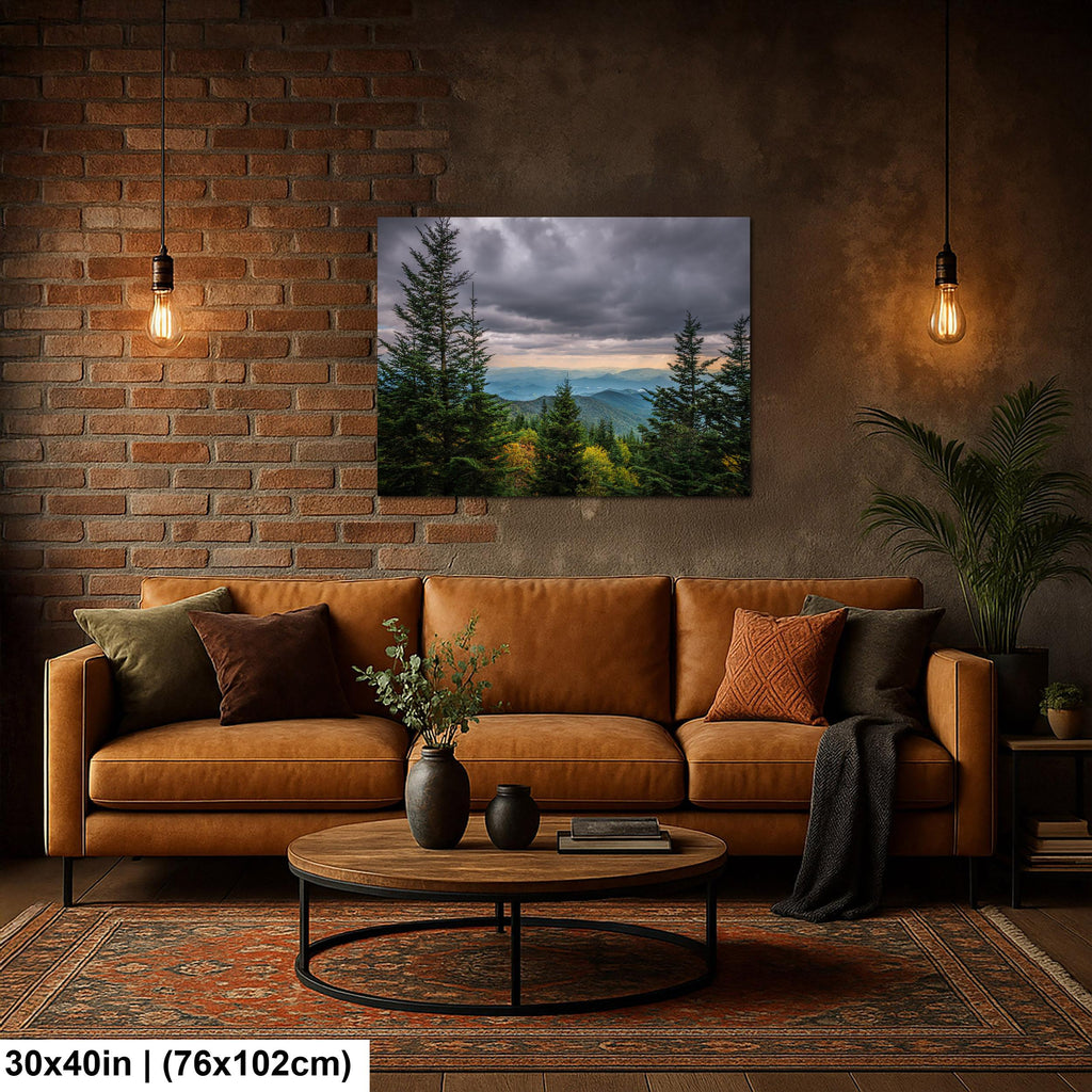Through the Pines: Great Smoky Mountains National Park TN Photo Wall Art