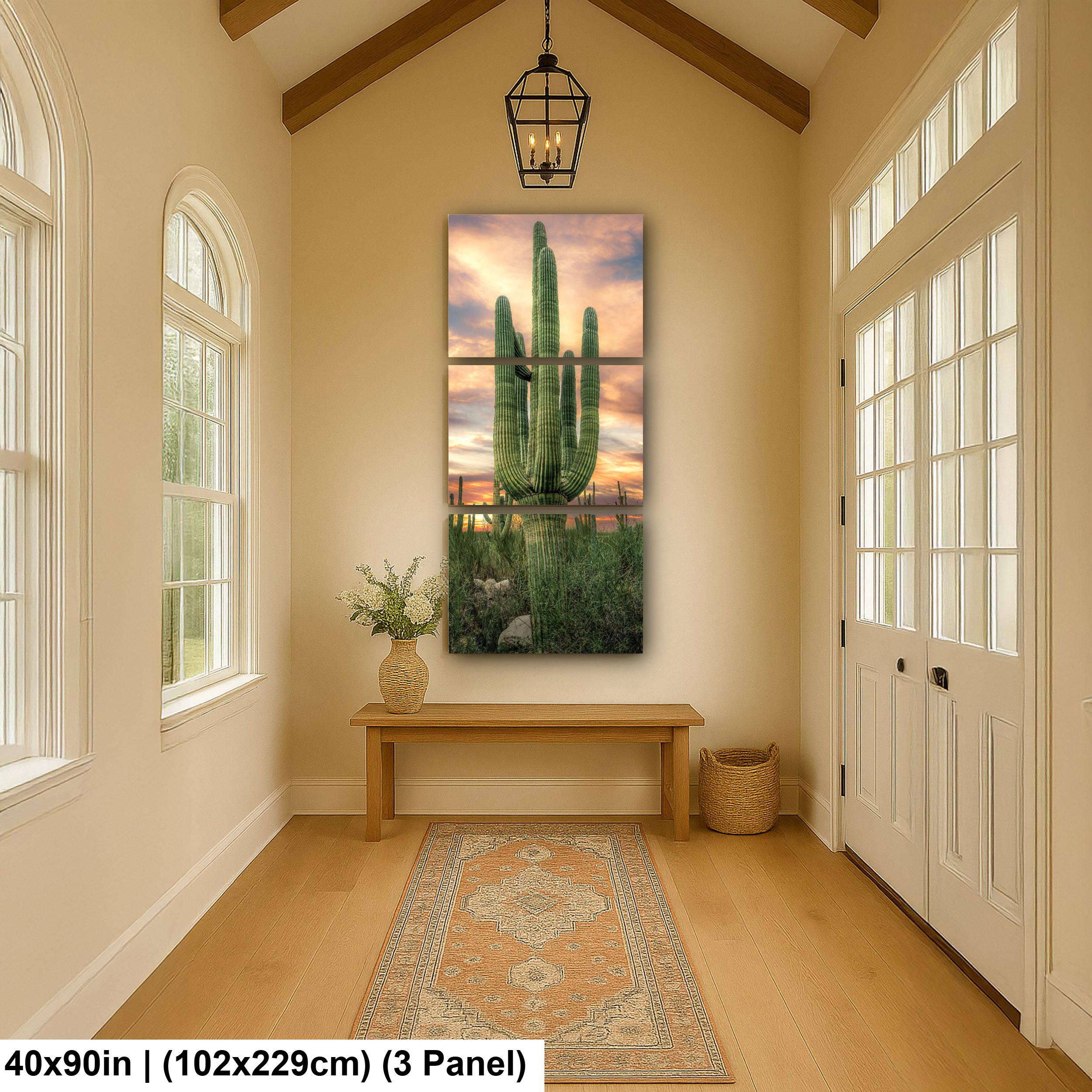 Towering Multi-Arm Saguaro at Sunset - Catalina State Park Tucson Arizona Sonoran Desert Photography Print