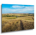 Solitary Prairie Tree Badlands National Park South Dakota Photography Print, Lone Tree Golden Grasslands Wall Art