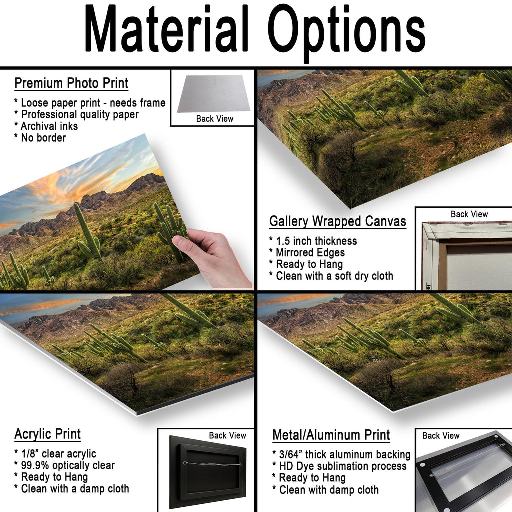 Santa Catalina Mountains with Saguaros Photography Print, Catalina State Park Tucson Arizona Desert Landscape Wall Art