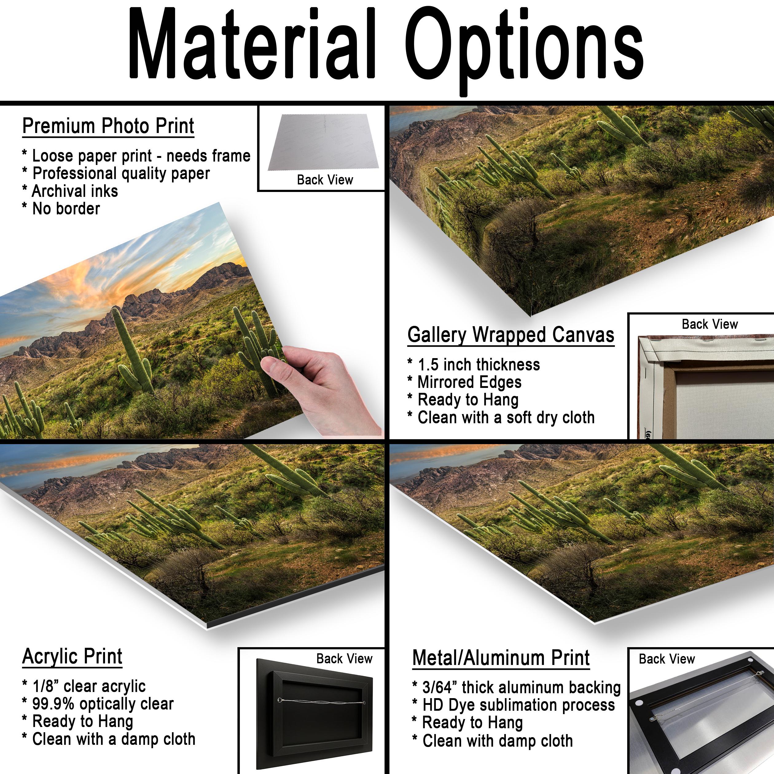 Santa Catalina Mountains with Saguaros Photography Print, Catalina State Park Tucson Arizona Desert Landscape Wall Art