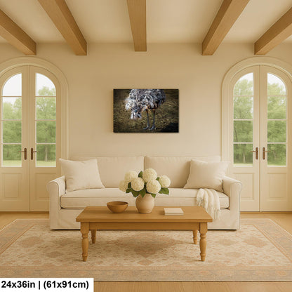 Emu Wildlife Portrait with Textured Feathers - Benson Arizona Photography Print