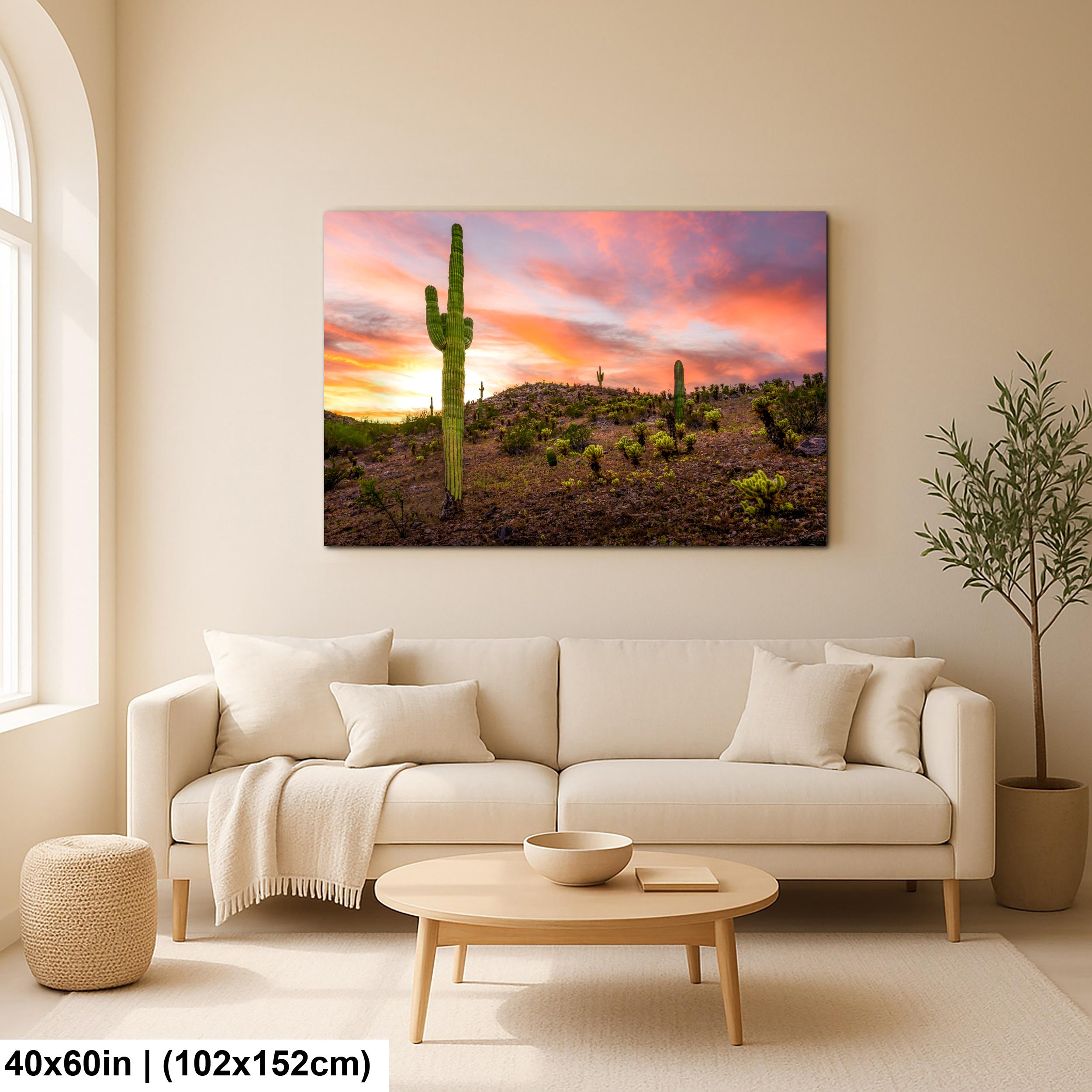 Towering Saguaro at Sunset - Sonoran Desert Casa Grande Arizona Photography Print