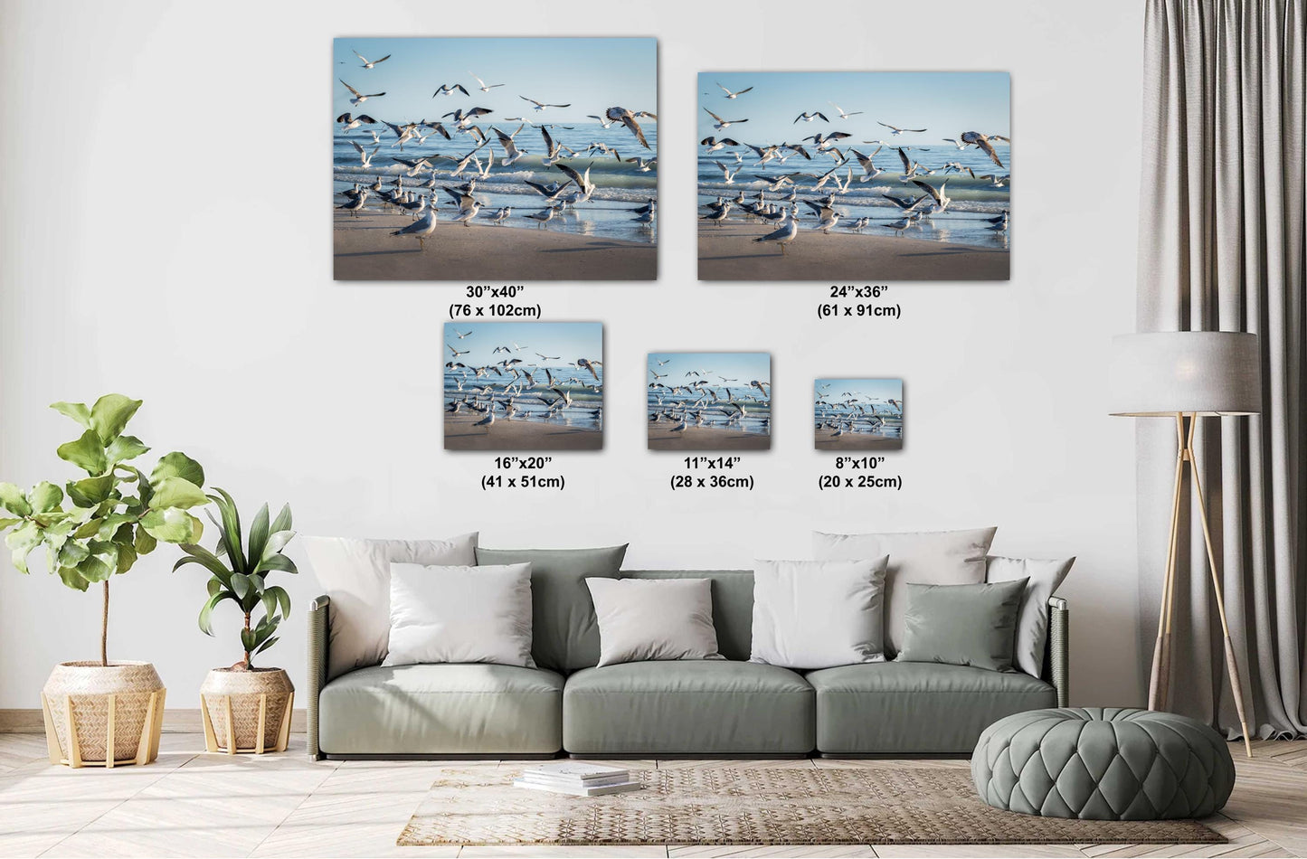 Seagulls of Anna Maria Island Beach, Florida Print Wall Art Bird Wildlife Photography Aluminum/Acrylic/Metal/Canvas Coastal Seascape Decor