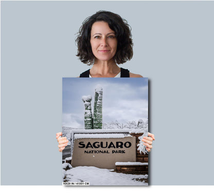Saguaro National Park Wall Art – Snowy Desert Landscape | Tucson Arizona Decor