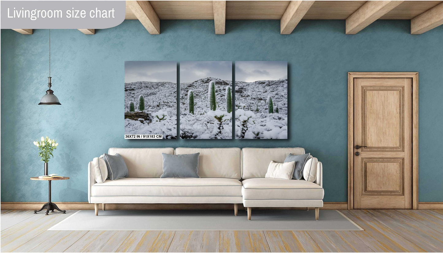 Saguaro National Park Winter Snow Photography Print: Tucson Desert Wall Art
