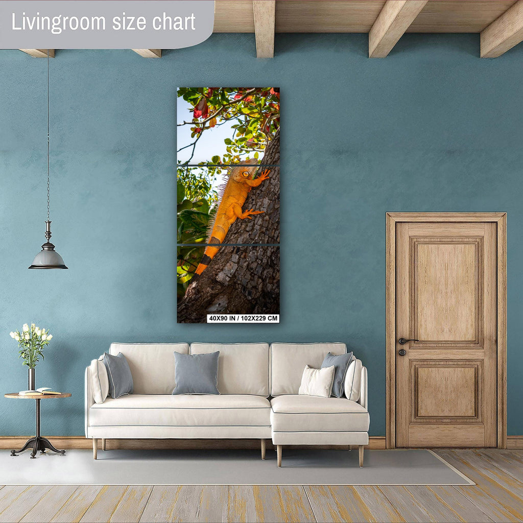 Key West Orange Iguana on Tree Trunk Photography Print, Florida Wildlife Photo, Tropical Nature Decor Reptile Wall Art Aluminum/Metal/Canvas