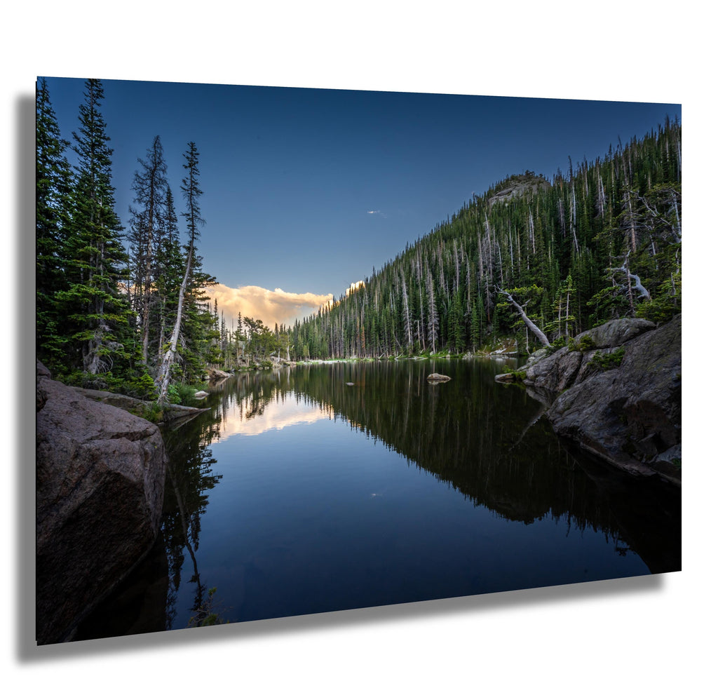 Dream Lake Pines Print: Rocky Mountain National Park Wall Art