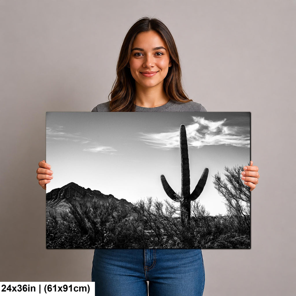 Desert Sentinel: Saguaro Cactus Oro Valley AZ Black White Photo Wall Art