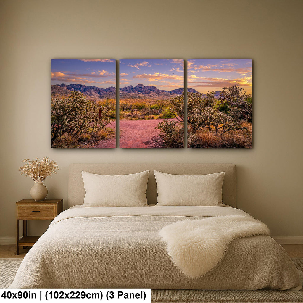 Sonoran Desert Trail Through Cholla Cactus - Tucson Arizona Mountain Sunset Photography Print