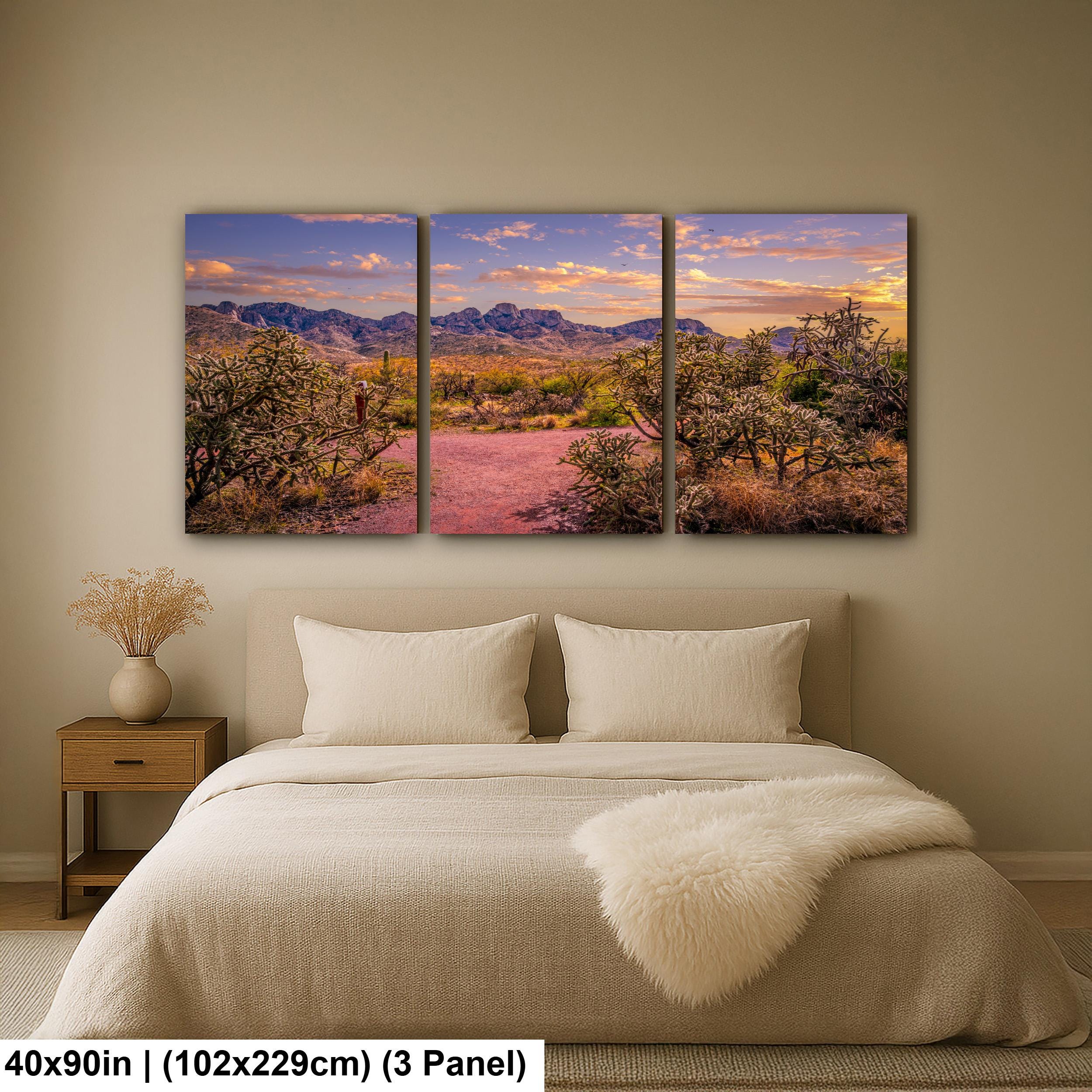 Sonoran Desert Trail Through Cholla Cactus - Tucson Arizona Mountain Sunset Photography Print