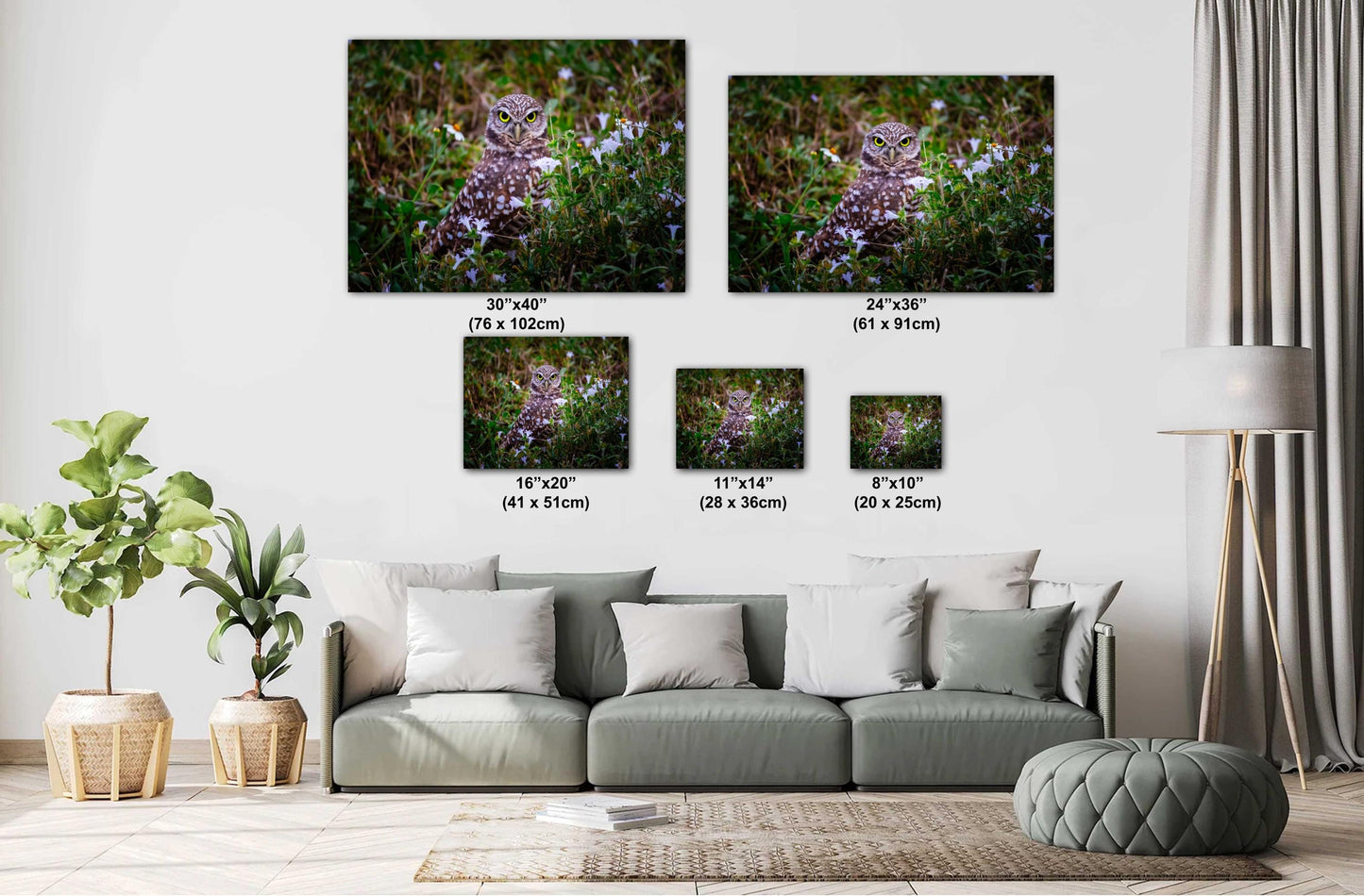 Burrowing Owl Amid Blossoms and Grass – Cape Coral’s Feathered Star The Americas Print Wall Art Photography Aluminum/Acrylic/Metal/Canvas