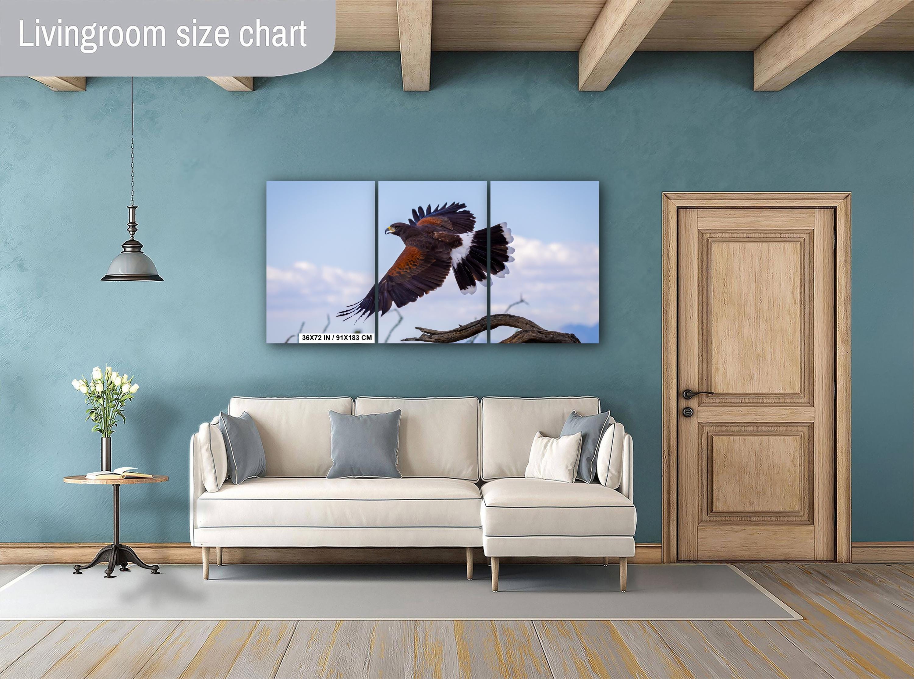 Harris's Hawk Desert Flight Photography: Southwest Wildlife Art Print