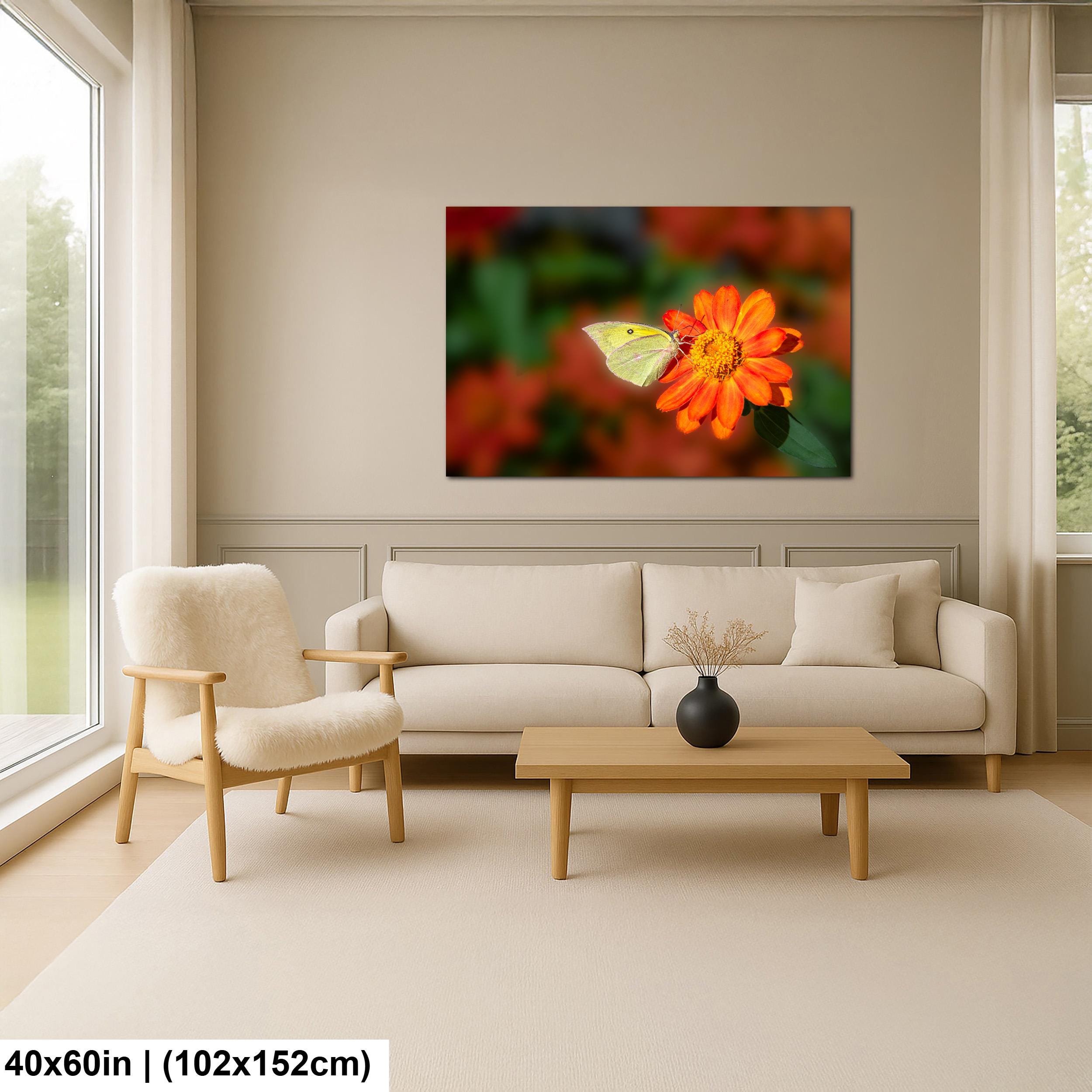 Gentle Landing: Butterfly on Flower Mt. Lemmon Arizona Photography Wall Art
