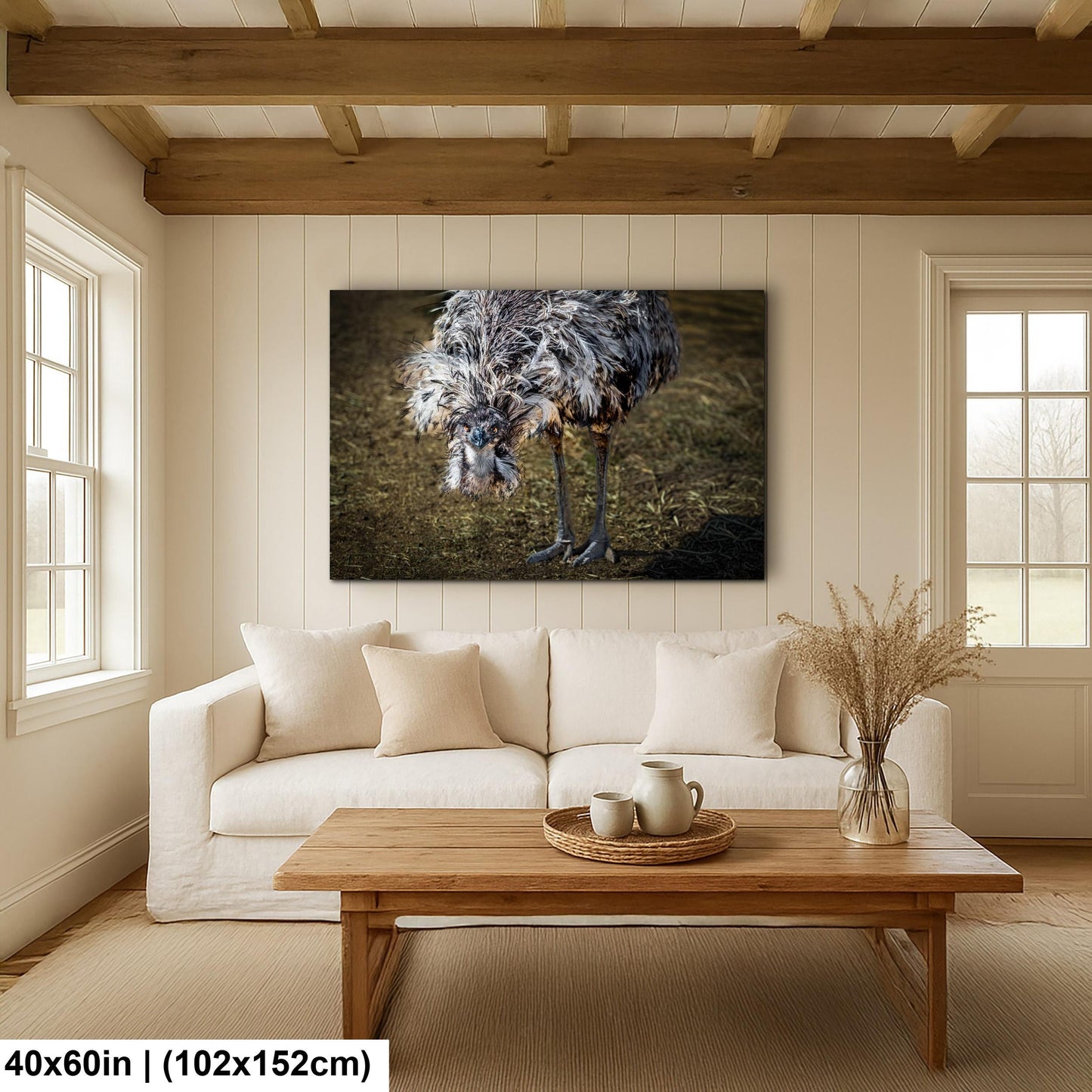 Emu Wildlife Portrait with Textured Feathers - Benson Arizona Photography Print