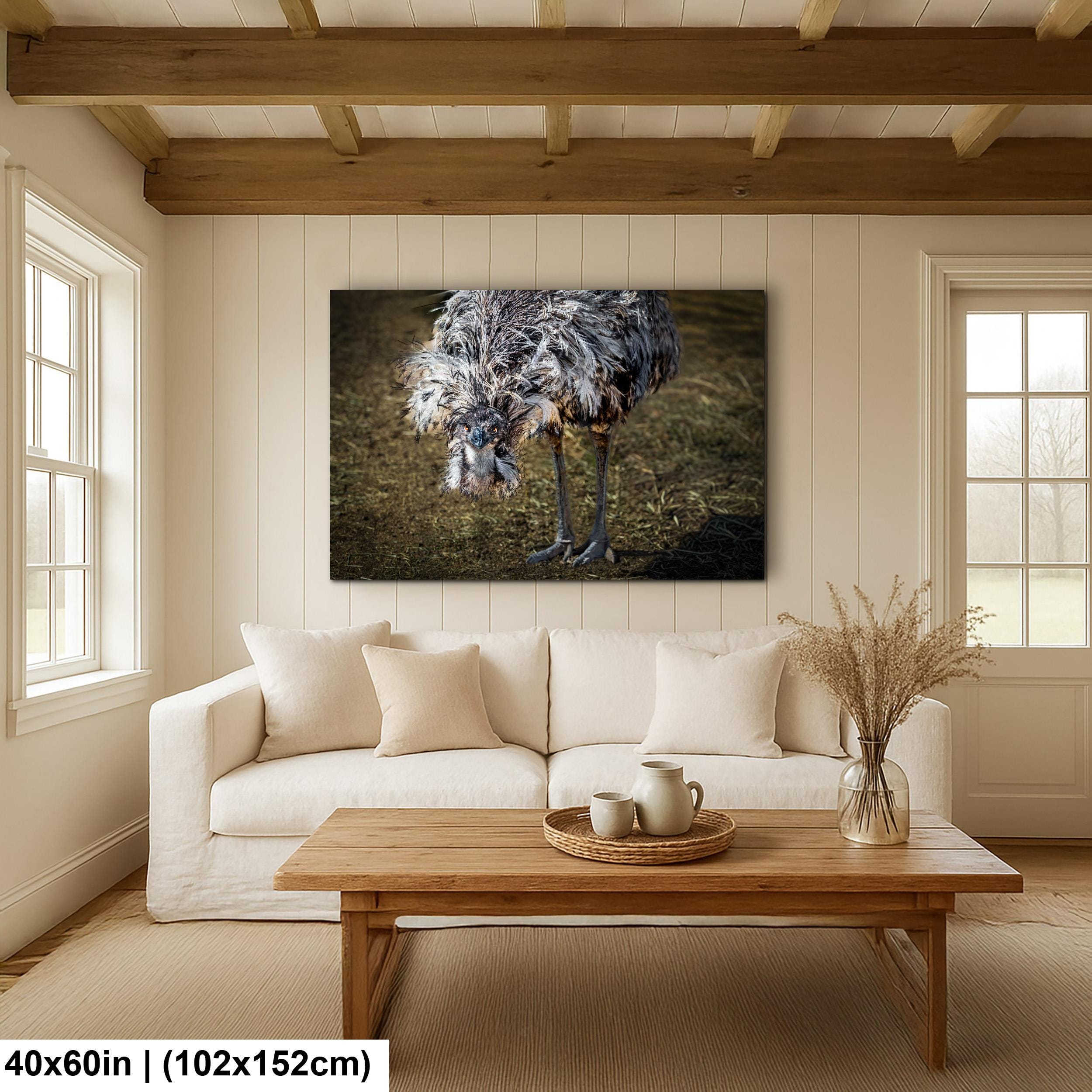 Emu Wildlife Portrait with Textured Feathers - Benson Arizona Photography Print