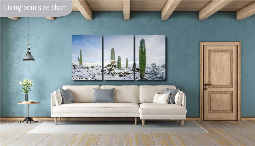Snow-covered saguaro cacti in Arizona desert, showcasing a rare winter scene with fresh powdery snow.