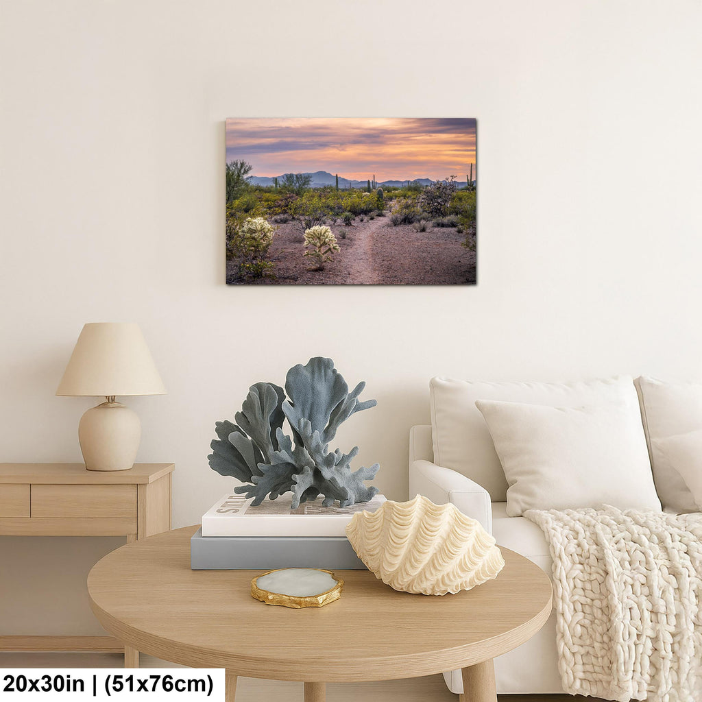 Spring Wildflowers and Saguaros at Sunset, Tucson Arizona Sonoran Desert Photography Print