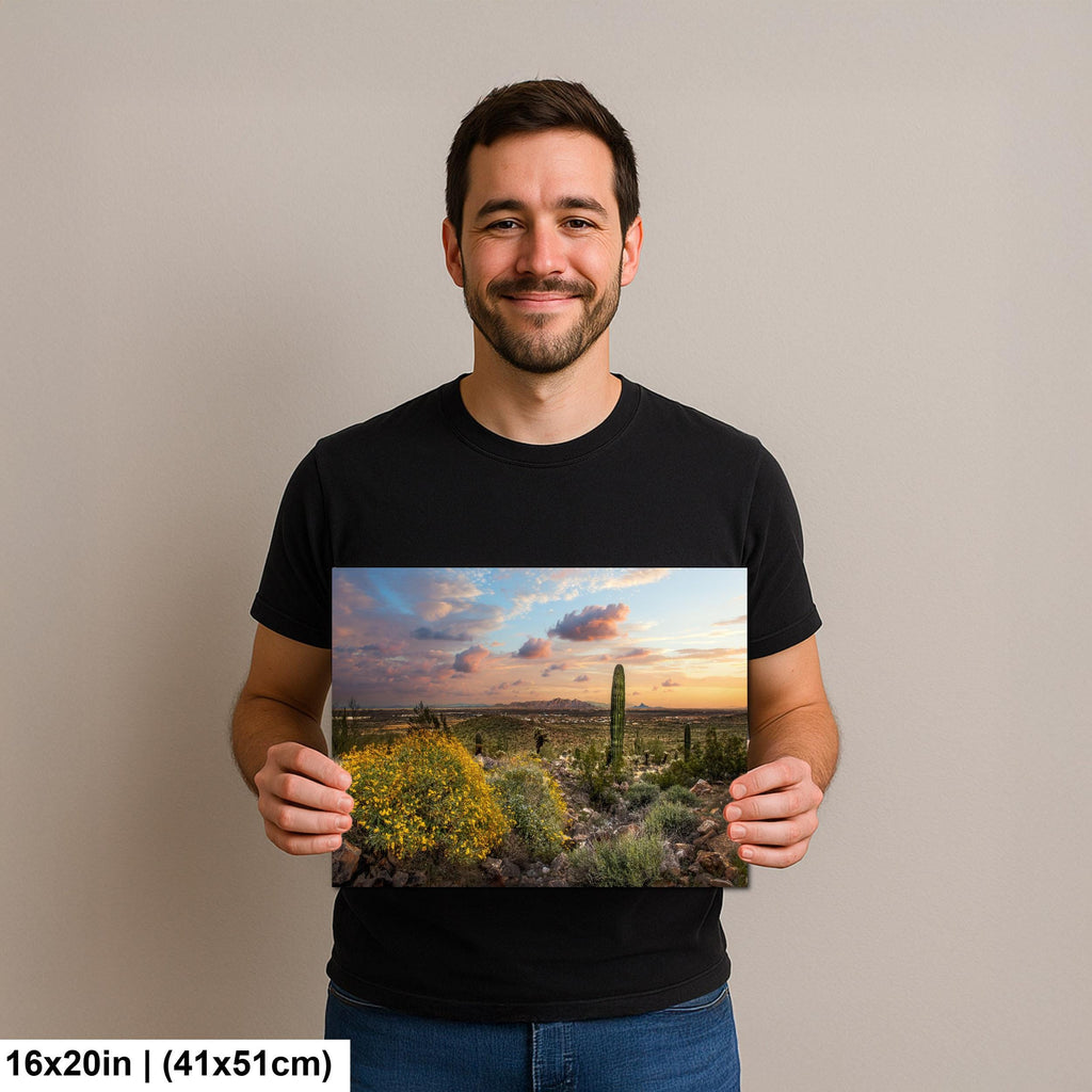 Arizona Sunset Overlook with Saguaros and Wildflowers - Casa Grande Sonoran Desert Photography Print