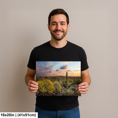 Arizona Sunset Overlook with Saguaros and Wildflowers - Casa Grande Sonoran Desert Photography Print