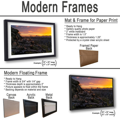 Sonoran Desert Sunset with Cholla and Saguaros - Casa Grande Arizona Photography Print