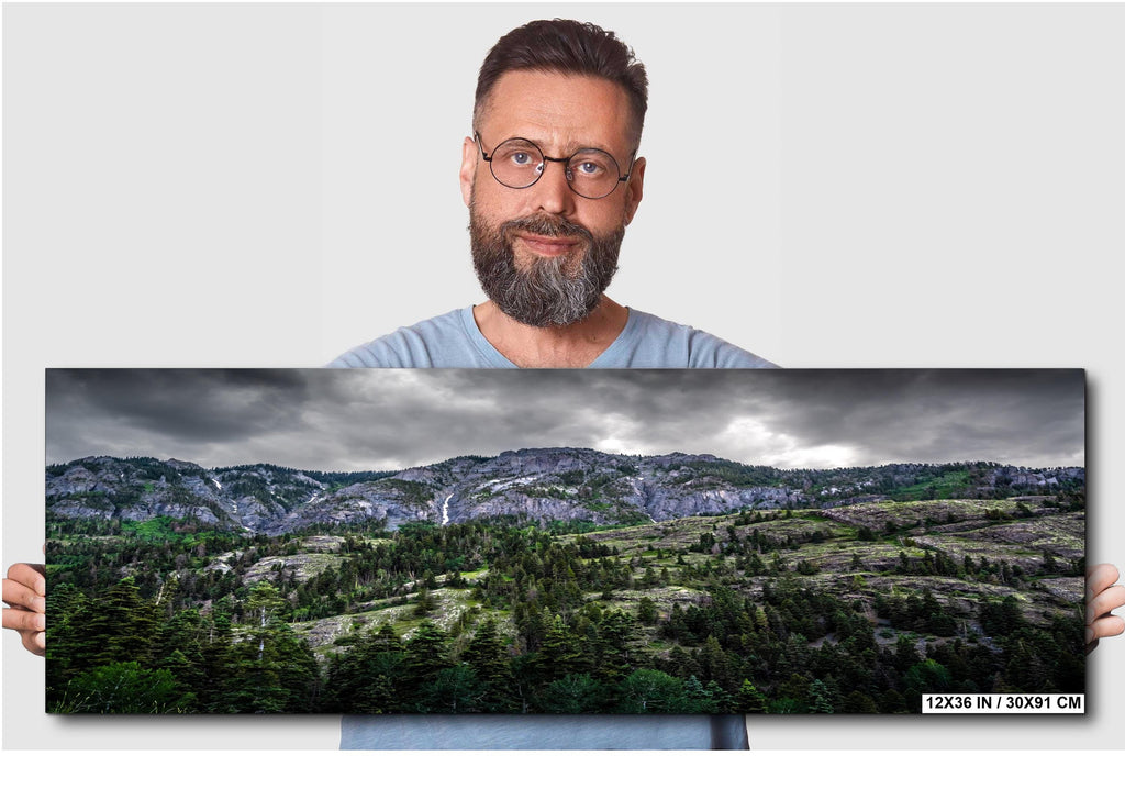 Ouray Colorado Forest Print: San Juan Mountains Landscape Photography