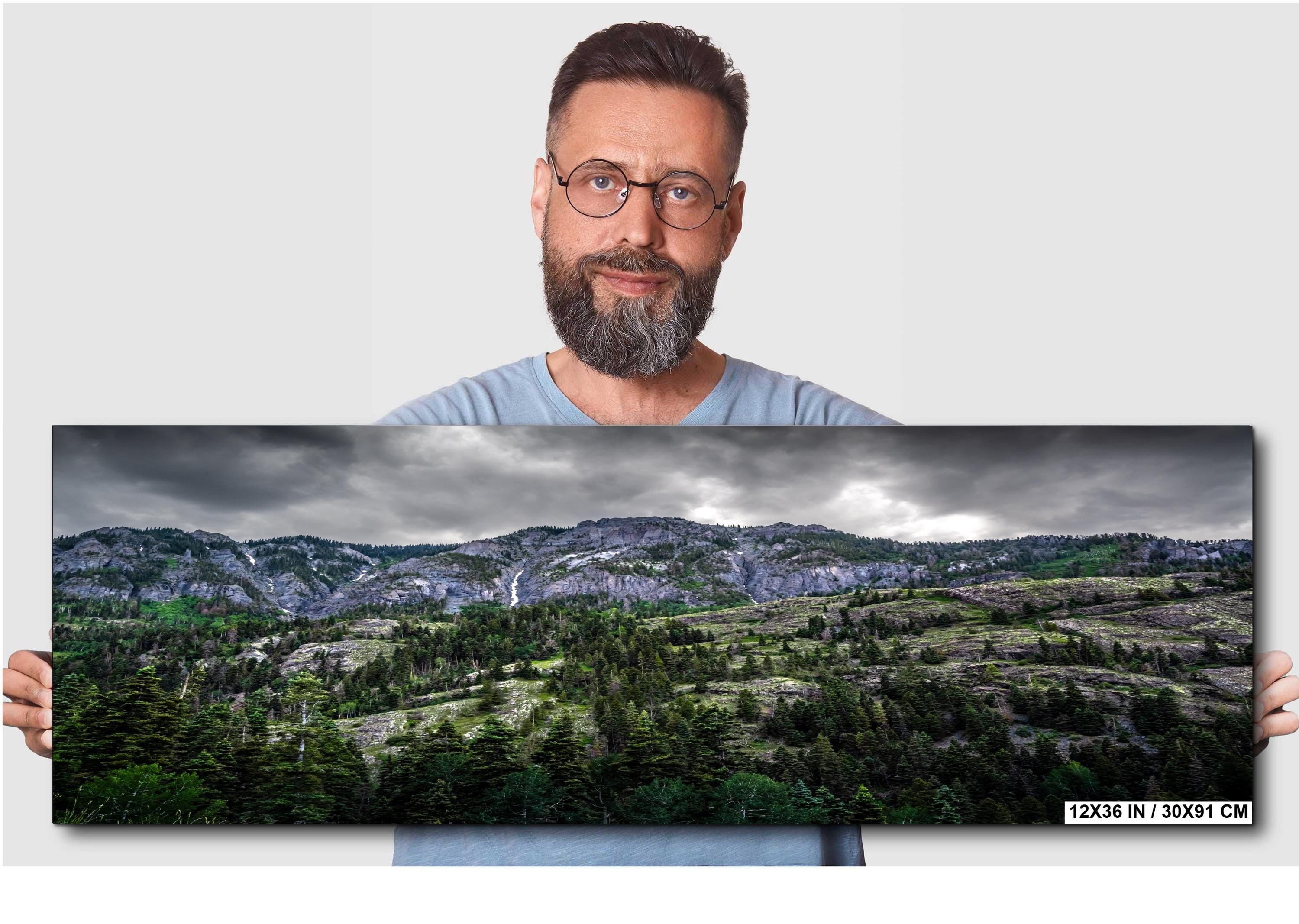 Ouray Colorado Forest Print: San Juan Mountains Landscape Photography