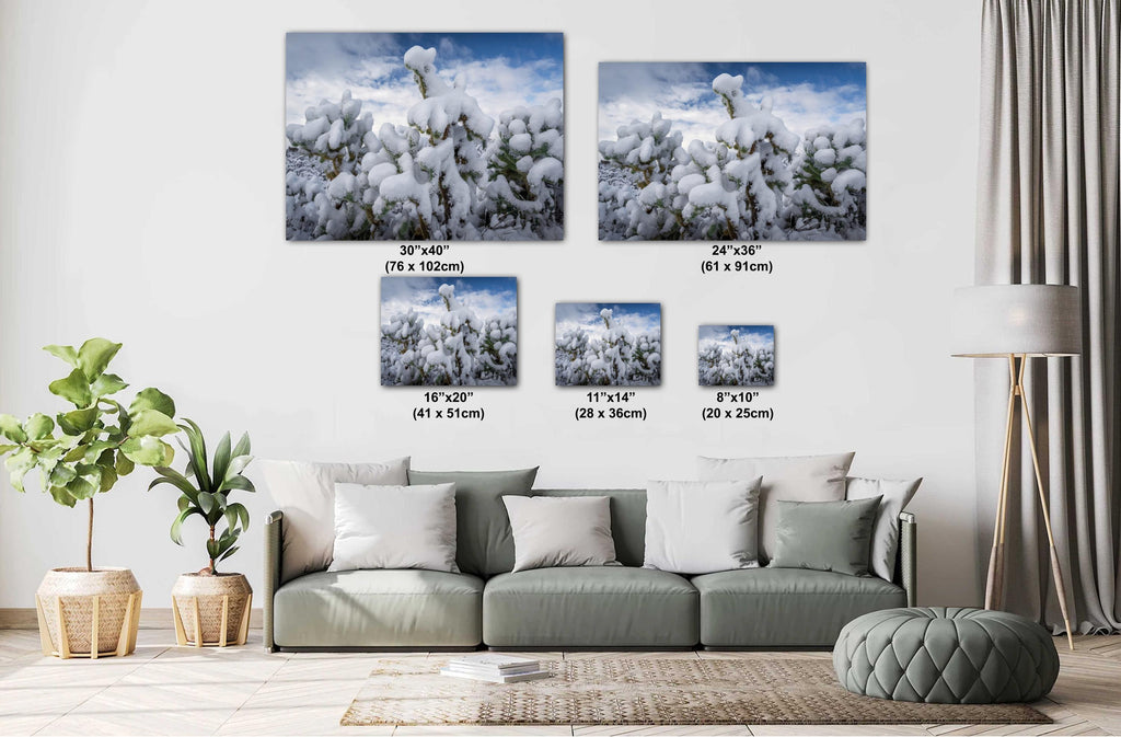 Saguaro Cactus Photography: Black and White Desert Wall Art
