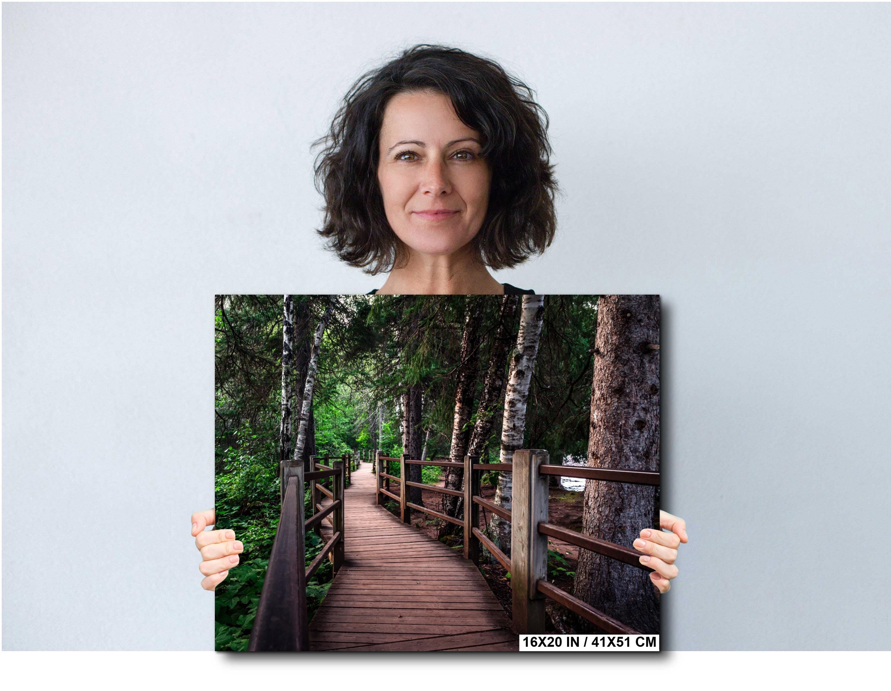 Gooseberry Falls: Minnesota State Park Photography Wall Art