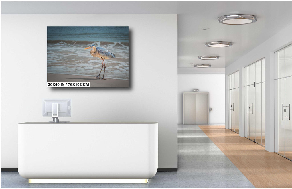 A wall art print featuring a great blue heron standing on a beach with the ocean in the background.