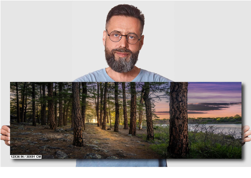 Show Low Lake Arizona: Tranquil Lakeside Pines Photography Wall Art