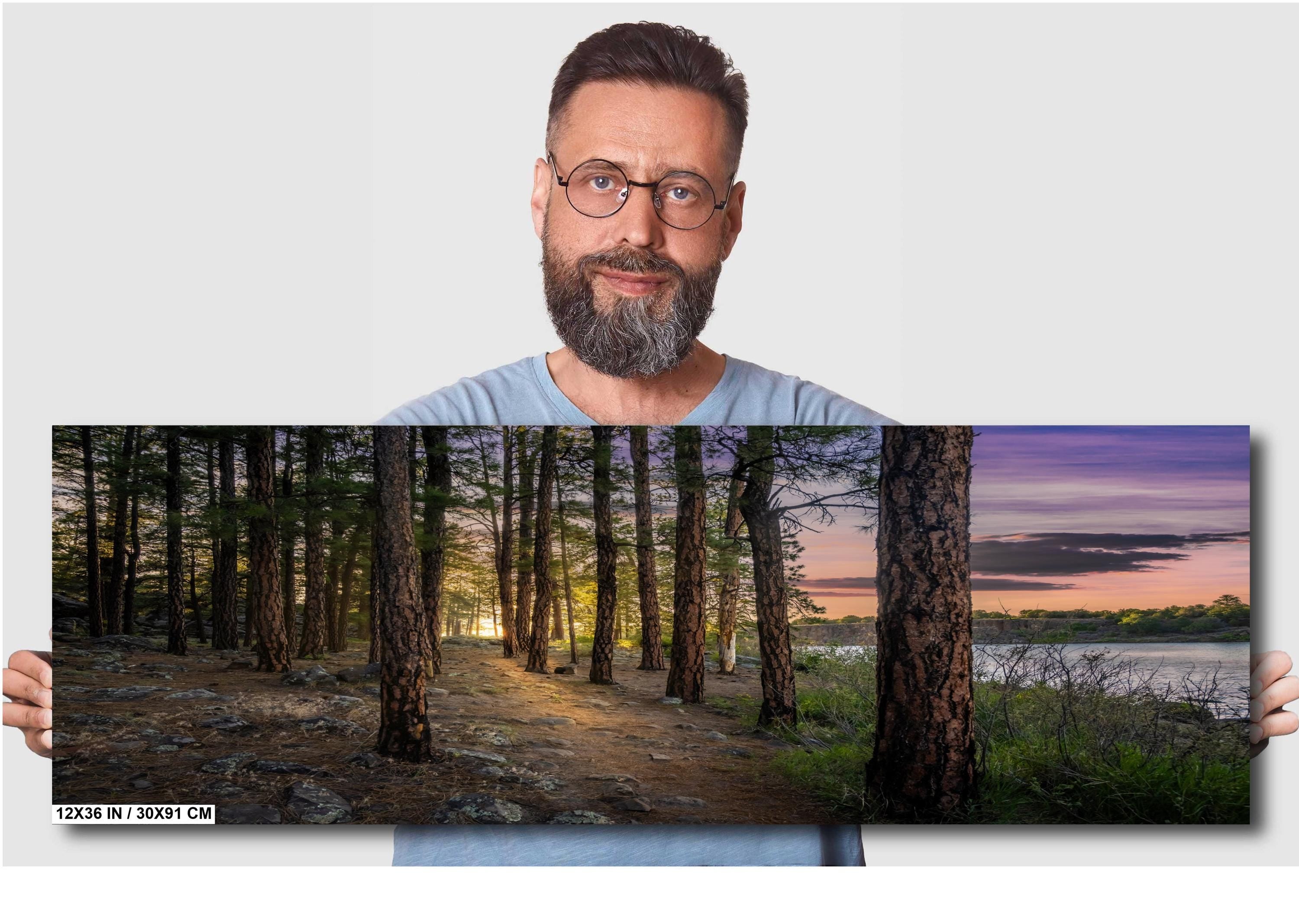 Show Low Lake Arizona: Tranquil Lakeside Pines Photography Wall Art