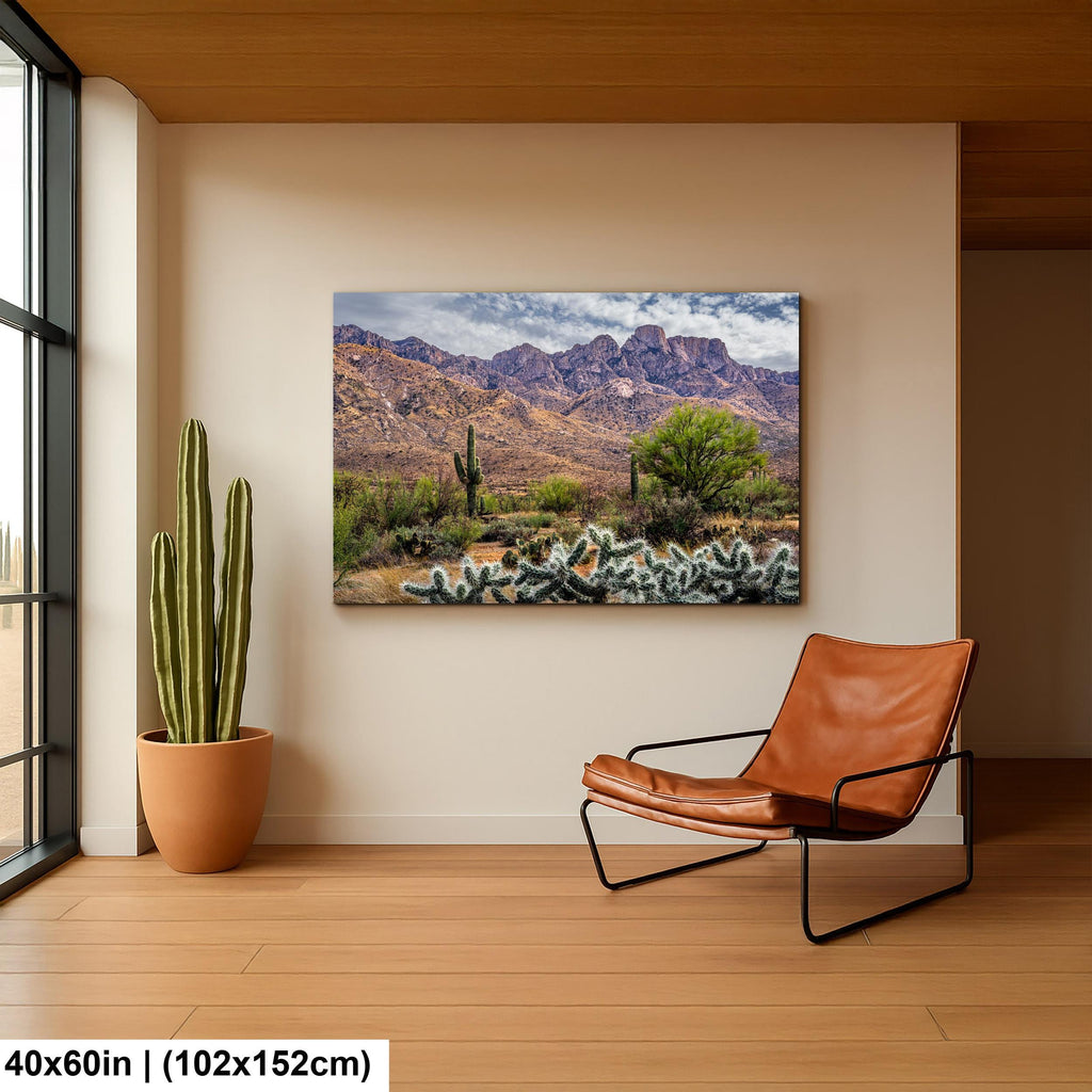 Rugged Desert Beauty Arizona Catalina Mountains Sonoran Landscape Photography Wall Art