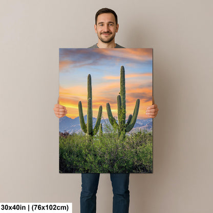 Desert Sunset with Giant Saguaros Photography Print, Tucson Arizona Wall Art, Southwest Landscape Decor