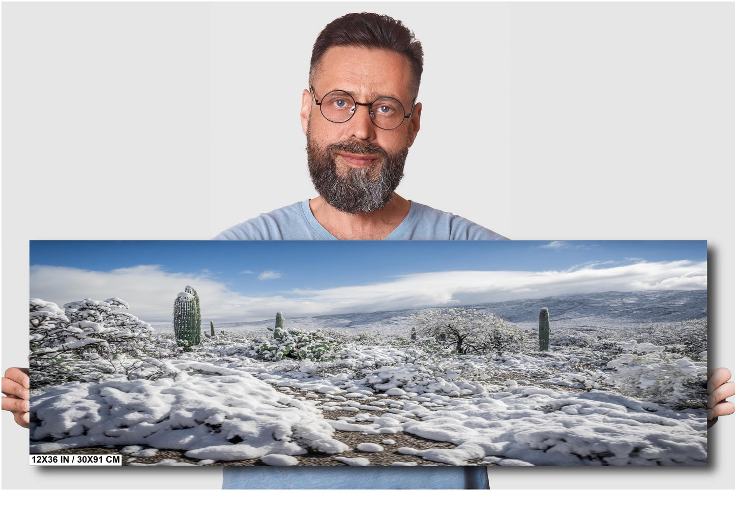 Saguaro Winter Wall Art - Desert Snowfall Art | Tucson Cactus Print Canvas