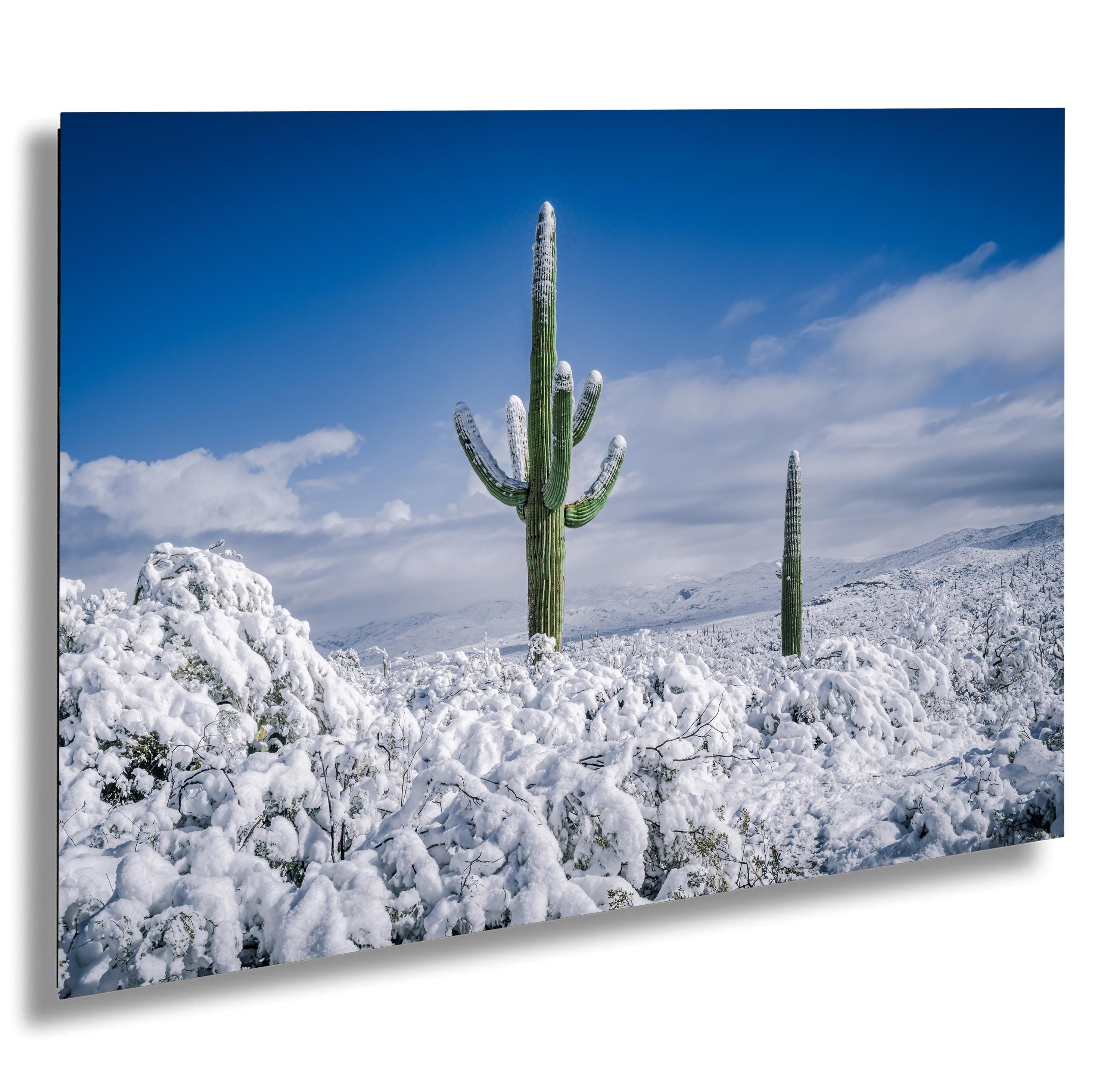 Snowy Saguaro Cactus Print: Tucson Desert Winter Photography
