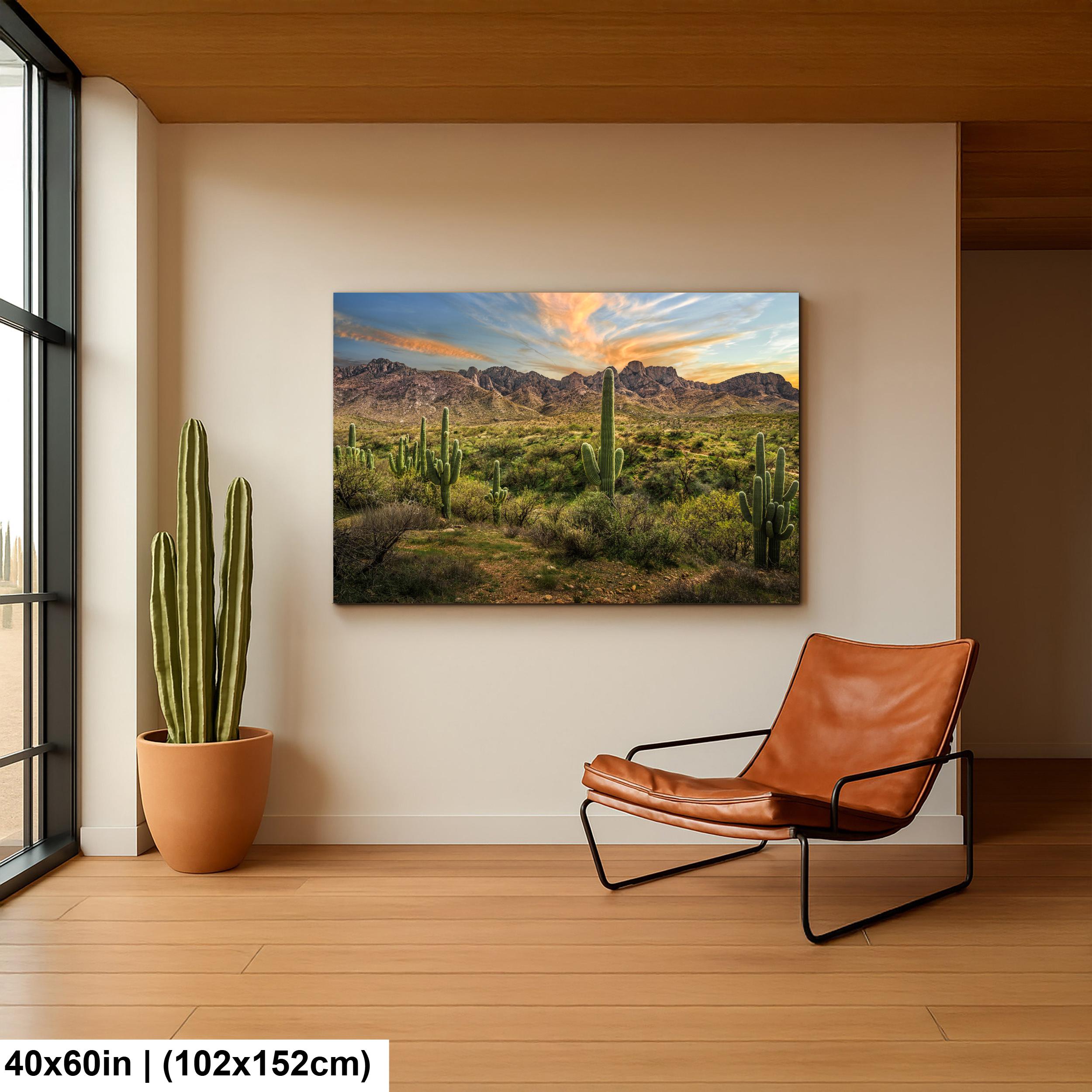 Santa Catalina Mountains with Saguaros Photography Print, Catalina State Park Tucson Arizona Desert Landscape Wall Art