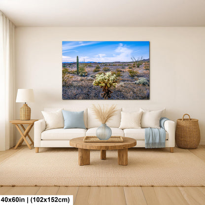 Teddy Bear Cholla in Bloom, Quartzsite Arizona Desert Landscape Photography Print
