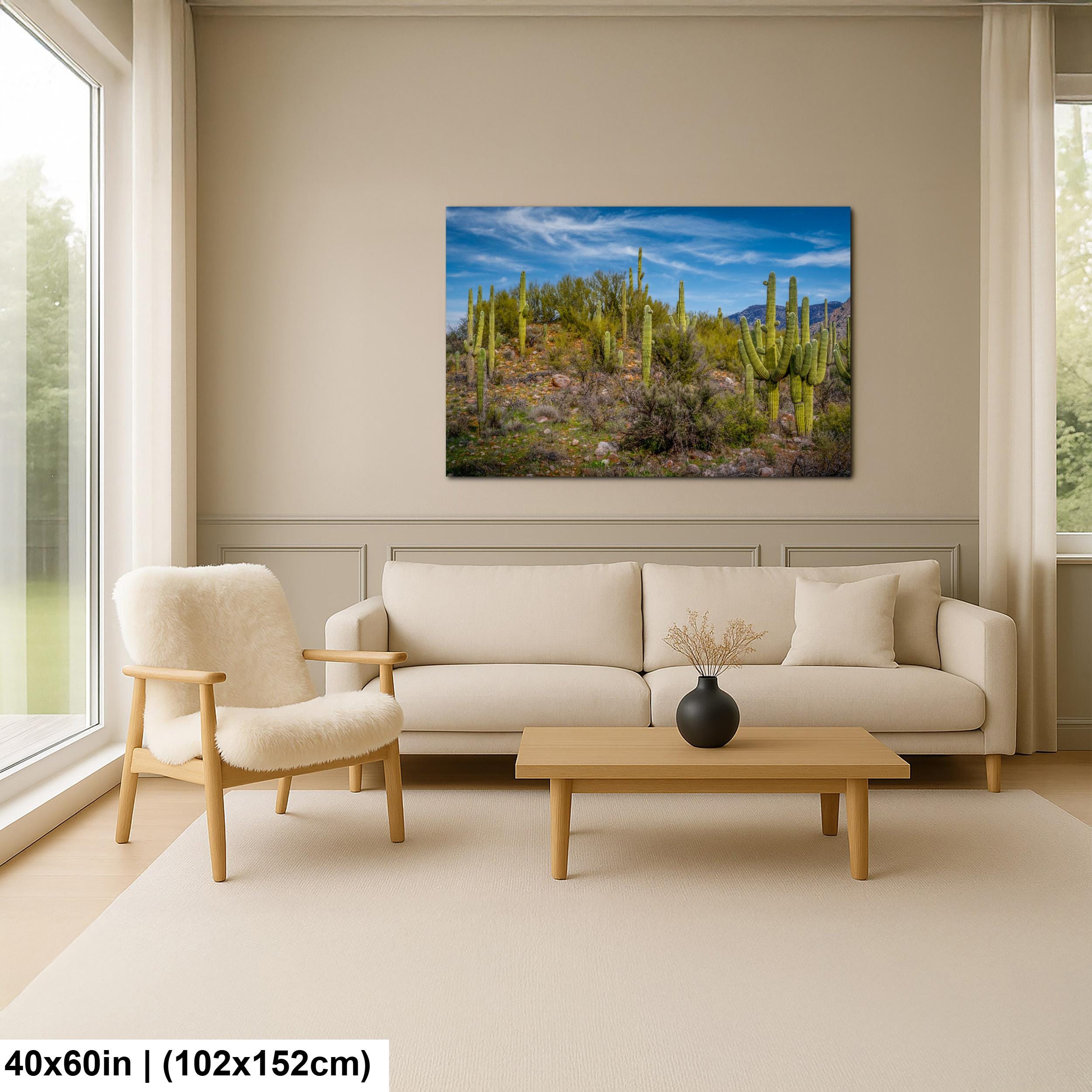 Sonoran Desert Hillside with Saguaros - Catalina State Park Tucson Arizona Photography Print