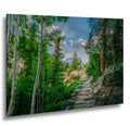 Rocky Mountain National Park Colorado Mountain Forest Trail Aspens Photography Print