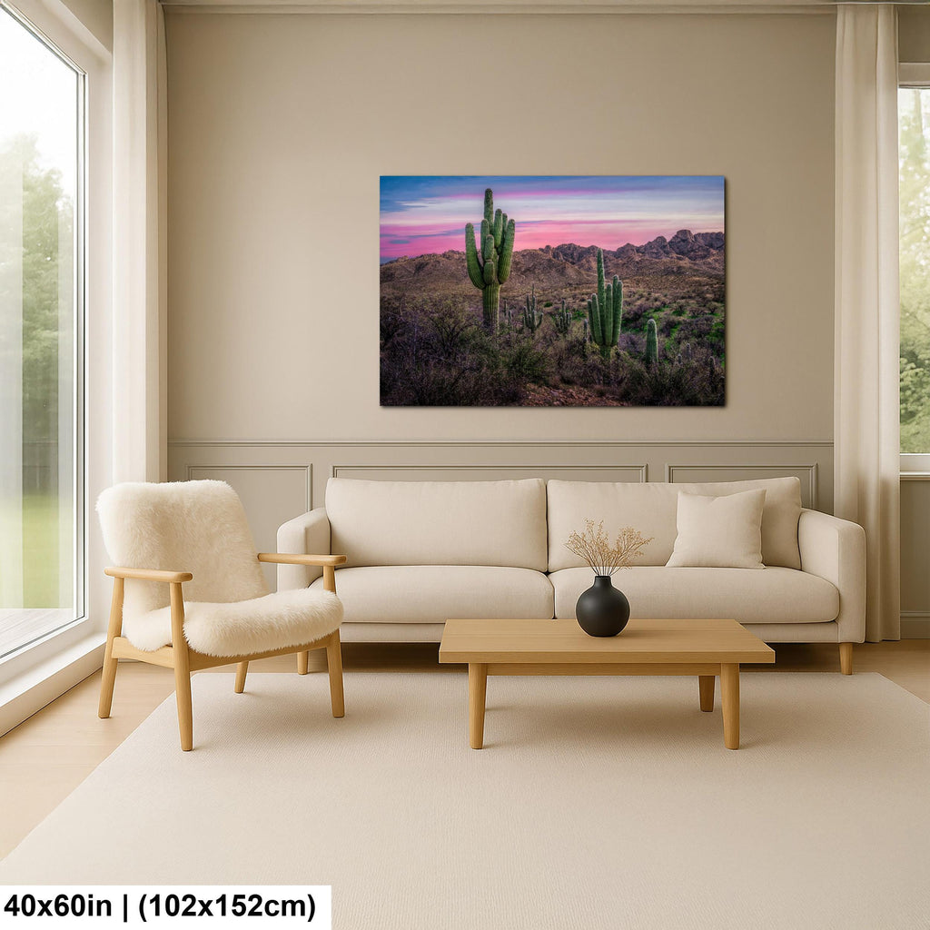 Sonoran Desert Sunset with Saguaros - Catalina State Park Tucson Arizona Photography Print