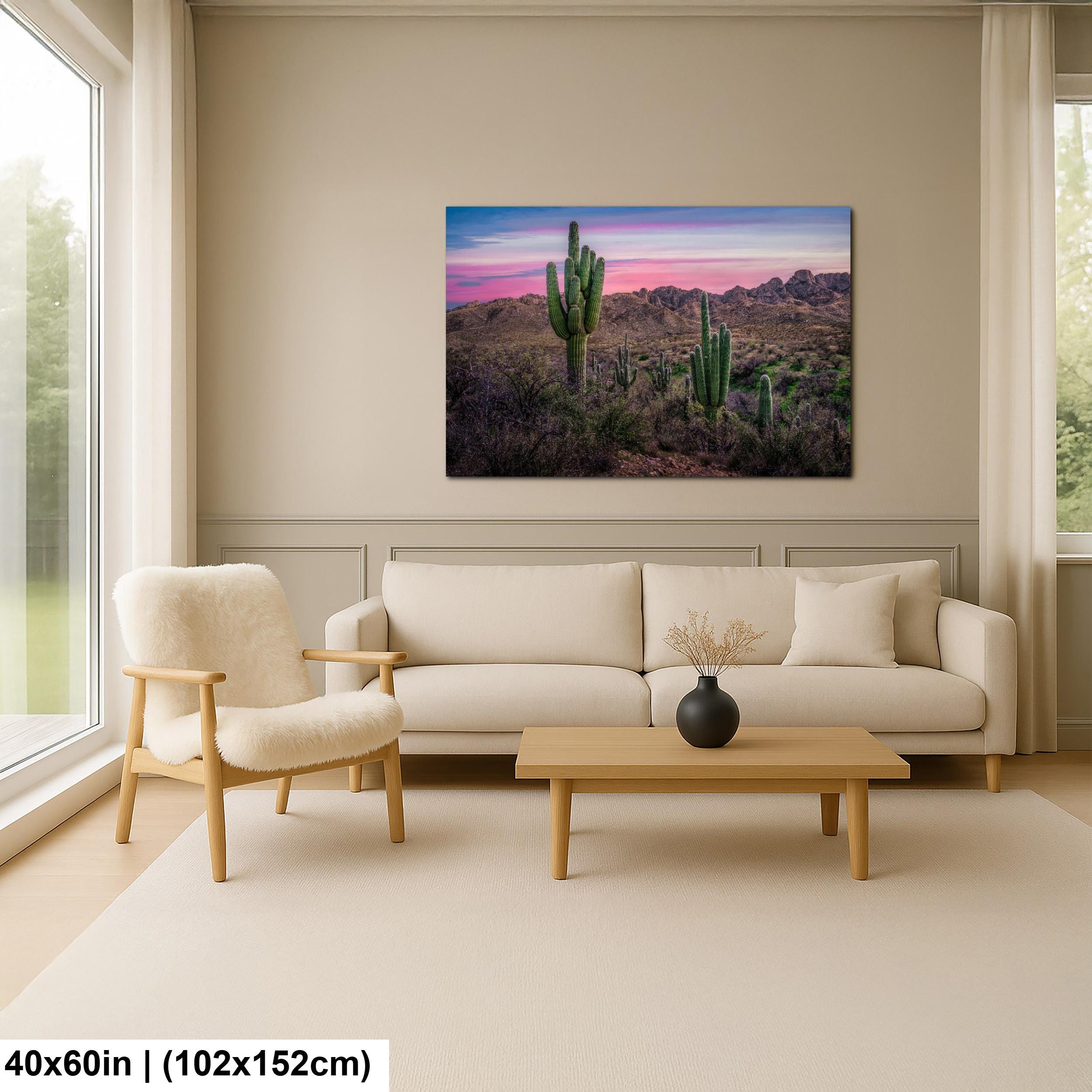 Sonoran Desert Sunset with Saguaros - Catalina State Park Tucson Arizona Photography Print